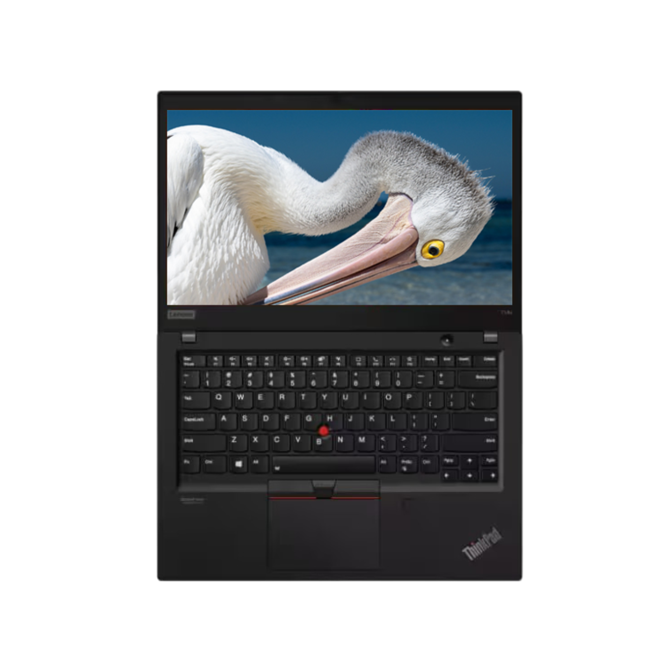 (Refurbished) Lenovo ThinkPad T14s | i7 10th Gen Laptop | 16 GB RAM | 512 GB SSD | Windows 11 | Ms Office | Intel HD Graphics | 14 Inch Black