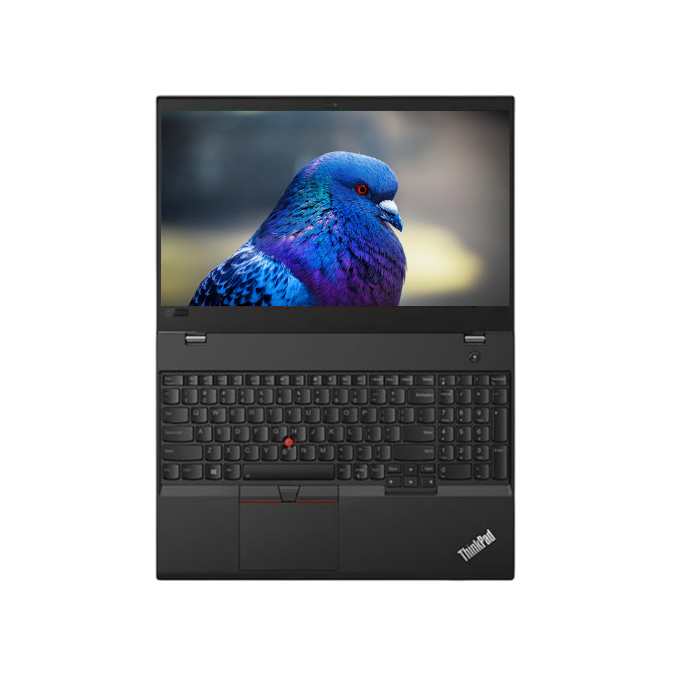(Refurbished) Lenovo ThinkPad T580 i5 8th Gen Laptop | 8 GB RAM | 256 GB SSD | Windows 11 | Ms Office | Intel HD Graphics | 14 Inch Black